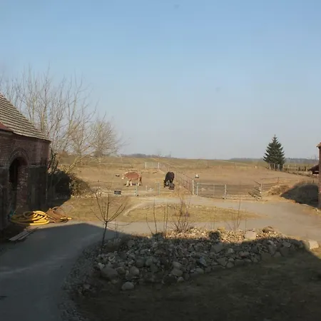 Pusteblume Διαμέρισμα *