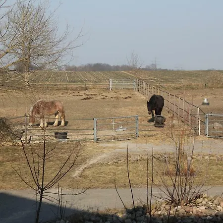 Pusteblume Appartement *