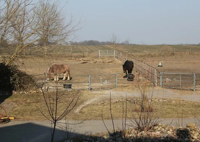 Pusteblume Lejlighed *