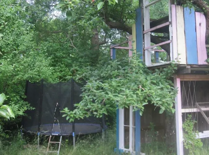 Pusteblume * Steinhofel